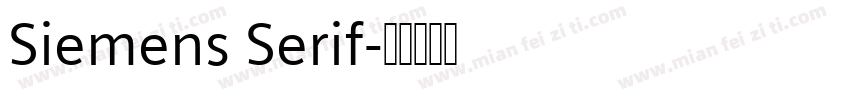 Siemens Serif字体转换